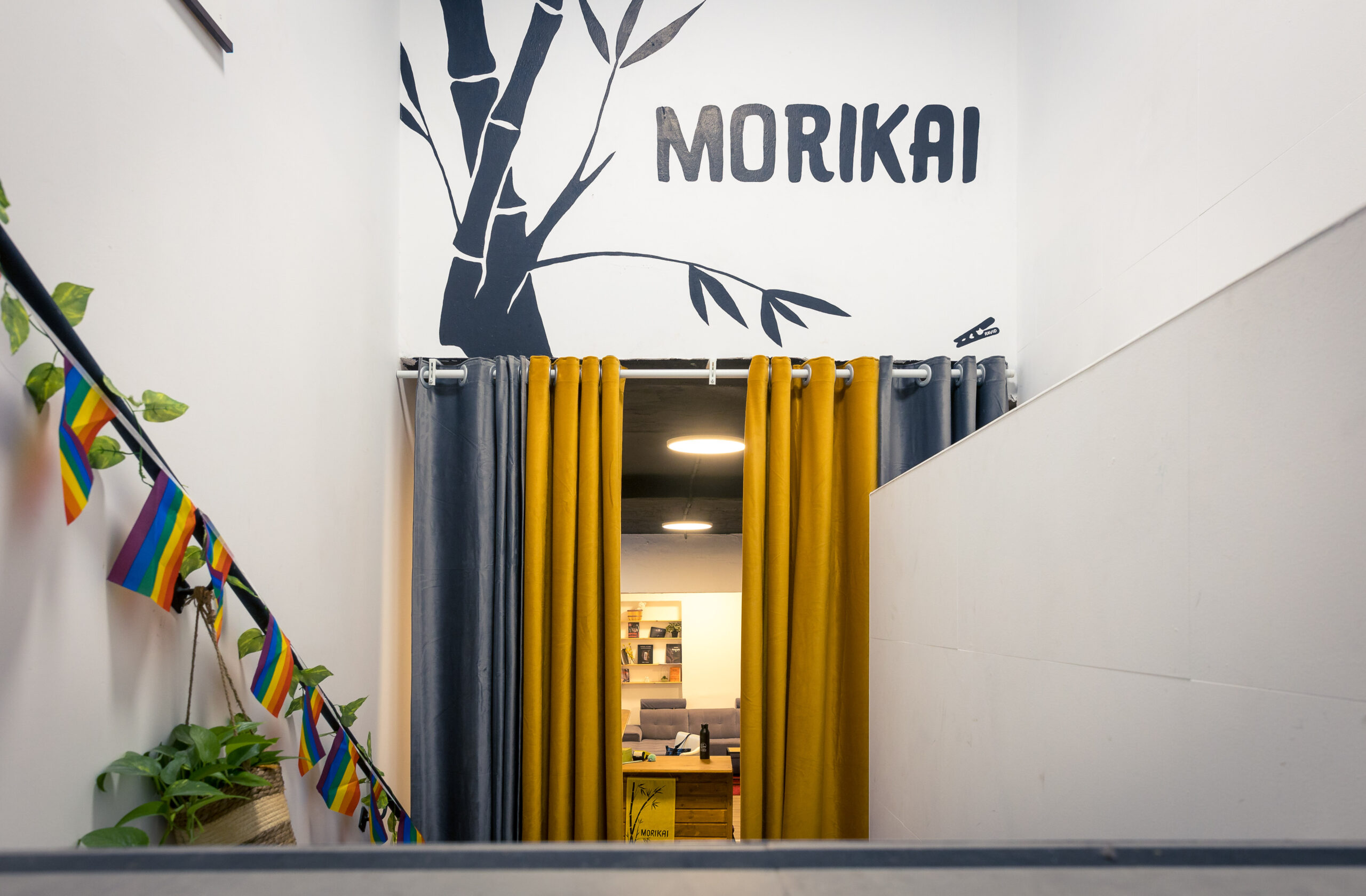 Morikai Studio